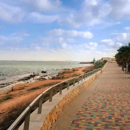 Hierbas Torrevieja