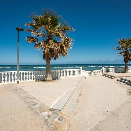 Hierbas Torrevieja